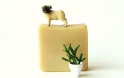 soap6 soap6