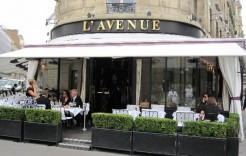 l'avenue1 l'avenue1