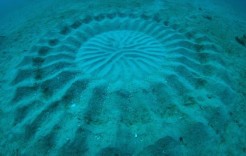 cropcircle1 cropcircle1