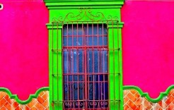 neon neon
