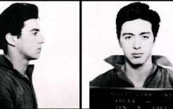 alpacino alpacino