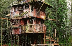 treehouse1 treehouse1