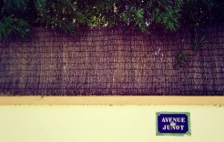 avenuejunot avenuejunot