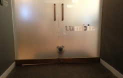tumblrdog tumblrdog