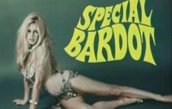 specialbardot specialbardot