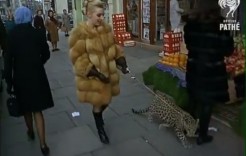 londonleopard londonleopard
